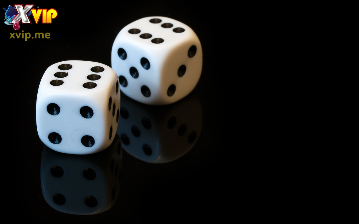 Thuật ngữ quan trọng trong tài xỉu Xvip