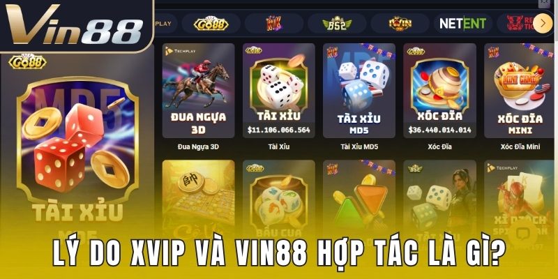 Lý do Xvip và Vin88 hợp tác là gì?